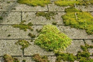Pitched Roof Insulation Moss On Flat Roof Good Or Bad
